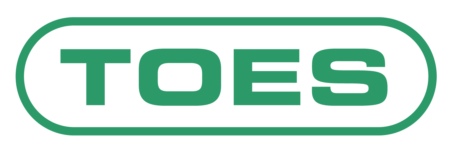 Toes Logo